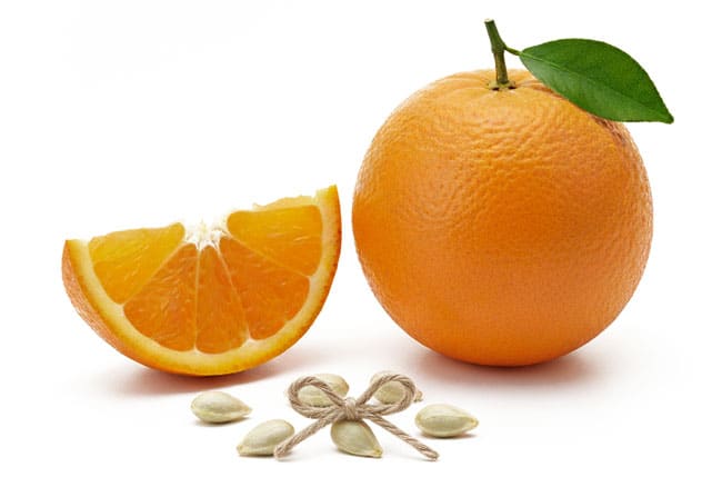https://studionicolussi.com/wp-content/uploads/2025/11/arancia-con-seme.jpg