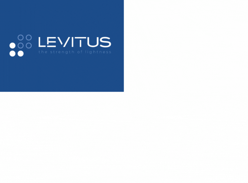 https://studionicolussi.com/wp-content/uploads/2025/12/logo-levitus1.gif