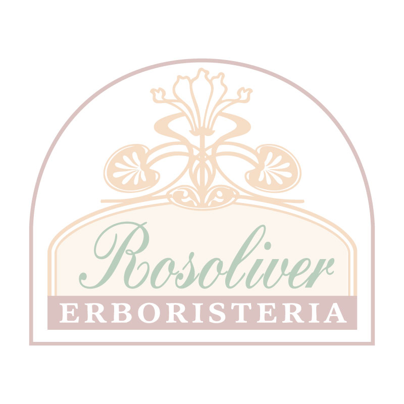 https://studionicolussi.com/wp-content/uploads/2025/12/rosoliver-vecchio-logo.jpg