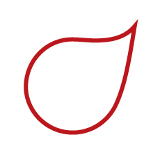 https://studionicolussi.com/wp-content/uploads/ideazione-logo-marchio.png
